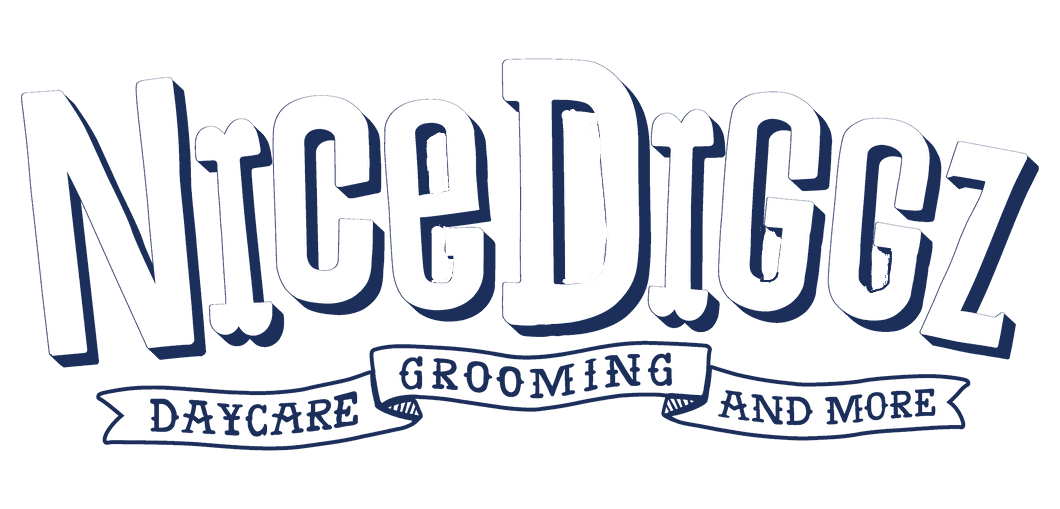 Nice Diggz — Daycare, Grooming, and More